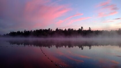 Forest in the distance beyond misty waters with pink and light blue sky