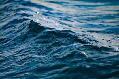 a closeup of water, with a gentle wave